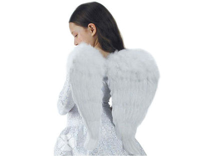 carn5306-alas-blancas-angel-plumas-5306