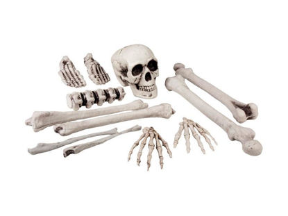 bola74391-craneo-11-huesos-20x53cm-halloween