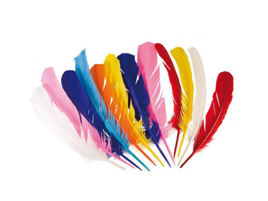 bola44135-plumas-indias-30cm-44135