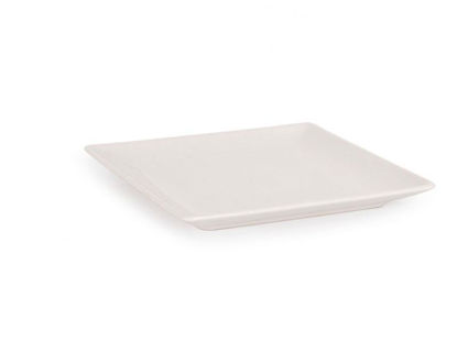 indeb250013-plato-pan-16x16x2cm-250013