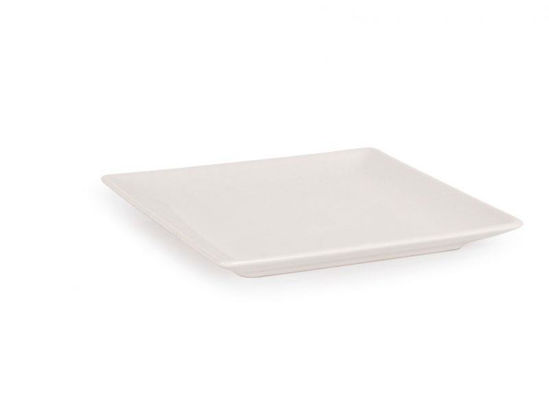 indeb250013-plato-pan-16x16x2cm-250013