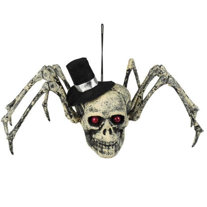 bola72158-arana-craneo-23x29cm-halloween-72158