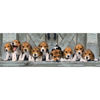 clem39435-puzzle-panoramico-beagles-1000pz-39435