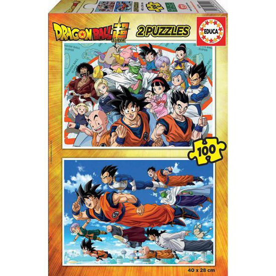 educ18214-puzzle-dragon-ball-2x100pz