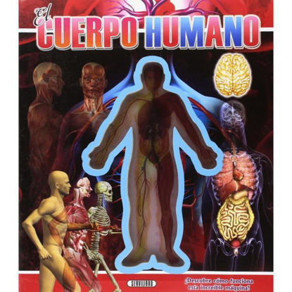 servs0942002-el-cuerpo-humano