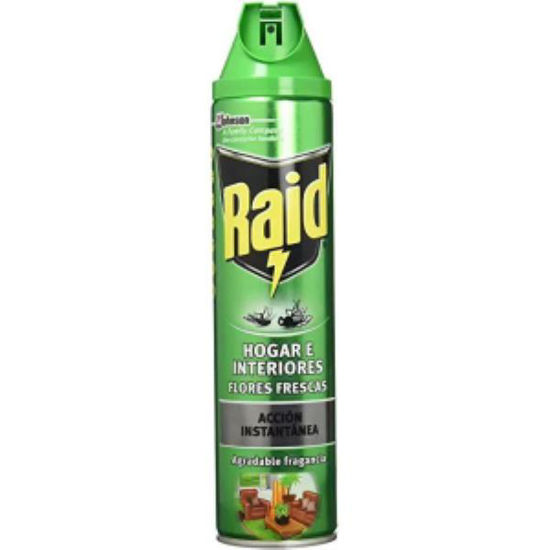 bema15700101-insecticida-raid-sp-plantas-600ml