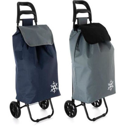 arcd7984001-carro-compra-saco-termi