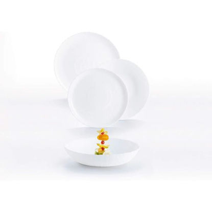 arcd9319101-vajilla-18pz-ammonite-a