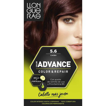 cash12701-tinte-llongueras-advance-