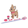 simb5893264-perro-poo-puppy-chi-lov