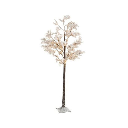 kaem492768-arbol-flores-blancas-180