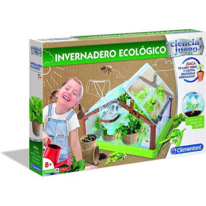 clem55375-invernadero-ecologico