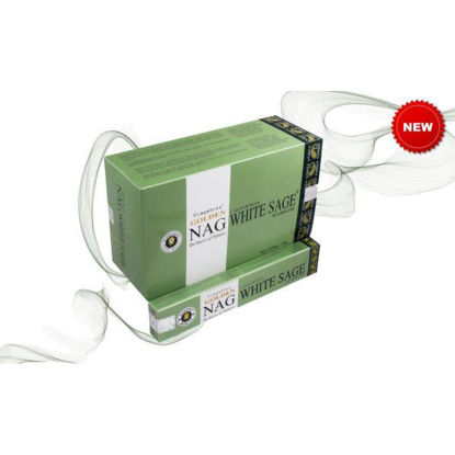 arce5003904-incienso-golden-salvia-