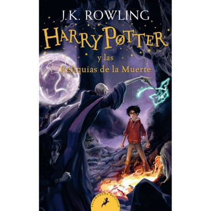 peng17313-libro-harry-potter-y-las-