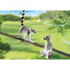 play70355-lemures