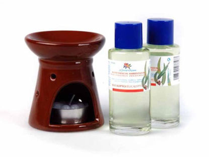 flor33583-ambientador-aceite-eucali