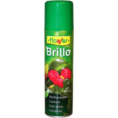 ower140501-brillo-premium-plantas-3