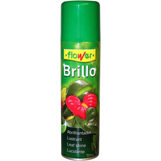 ower140501-brillo-premium-plantas-3