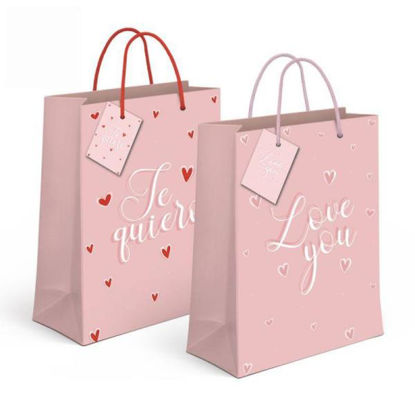cial2185217-bolsa-papel-xl-love-std
