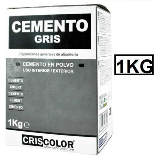 cris6528-cemento-en-polvo-gris-ecob