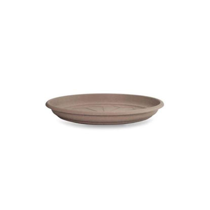 vecasv002d00240112-plato-naxos-24cm