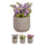 nahu5473-maceta-relieve-c-flores-st