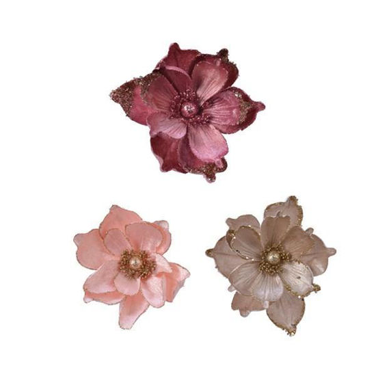 kaem629517-magnolia-22cm-clip-3-col