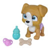 simb105953050-perrito-pamper-petz-1