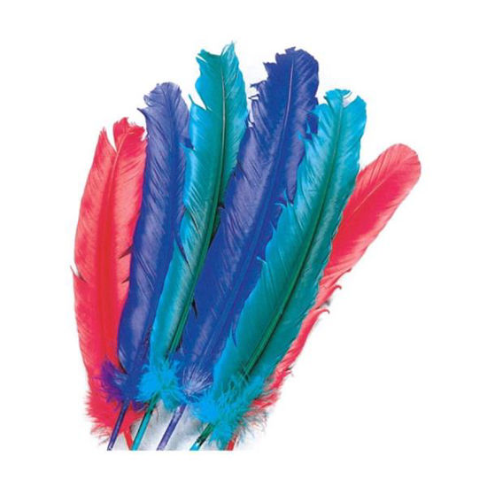 carn8199-pluma-indio-10u-stdo-color