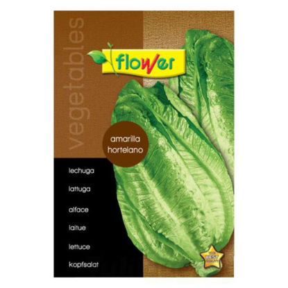 ower150533-semilla-lechuga-romana