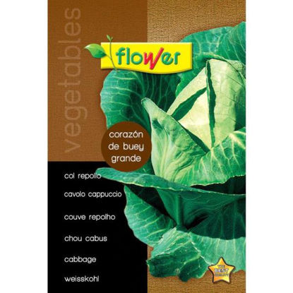 ower150650-semilla-col-repollo