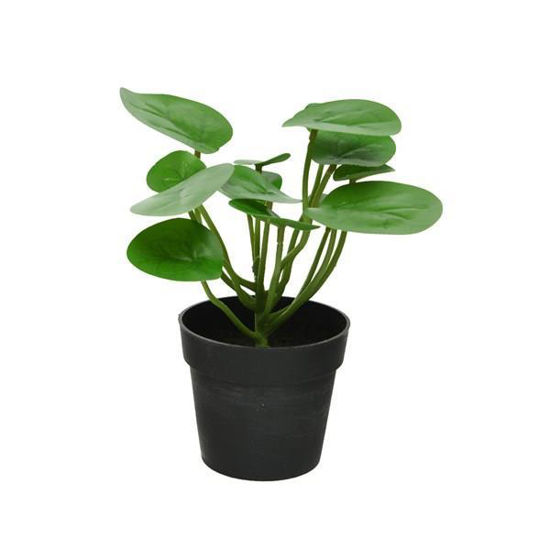 kaem800186-maceta-pilea-20x20x23cm