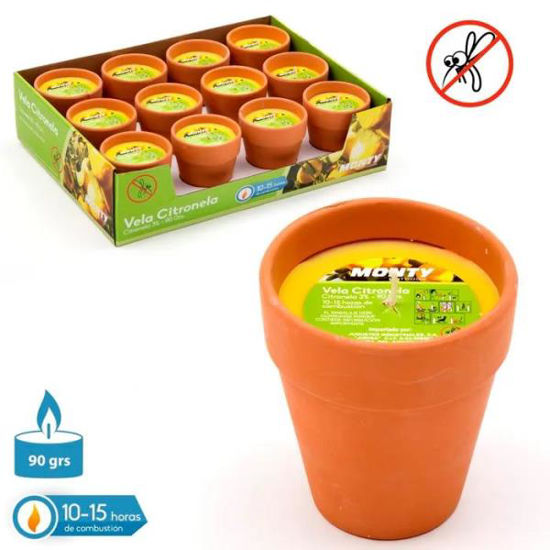 juin95001-vela-citronela-maceta-ter