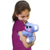 famo700016893-peluche-snuggling-koa