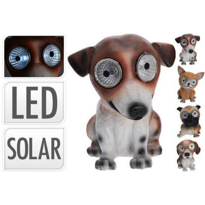 koop795210030-perro-farol-solar-13c