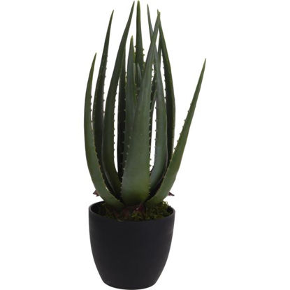 koop317220190-maceta-aloe-45cm-arti