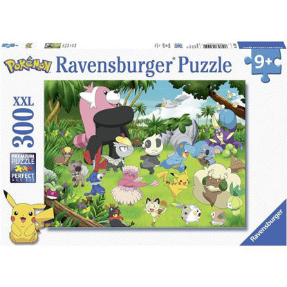 rave132454-puzzle-xxl-pokemon-300pz