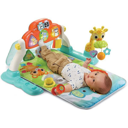 vtec80550122-gimnasio-bebe-selva-di