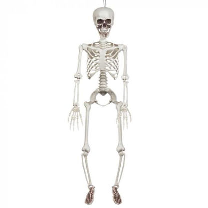 bola73042-esqueleto-colgante-90cm-h