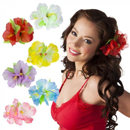 bola52379-flor-hibiscus-para-pelo