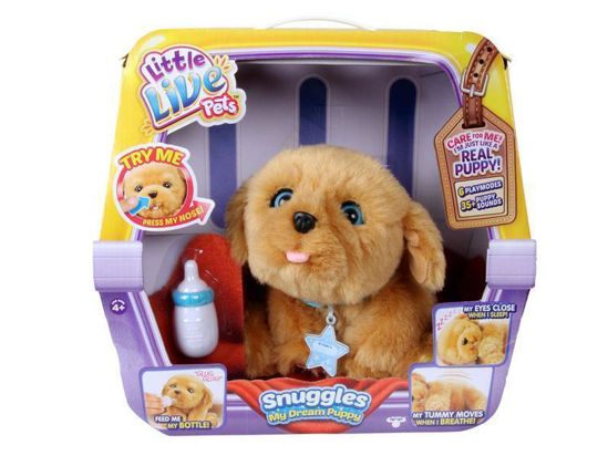 famo700013210-mascota-perro-little-