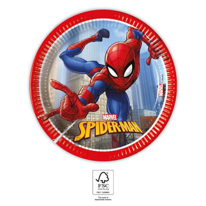 maca94054-plato-8u-20cm-spiderman