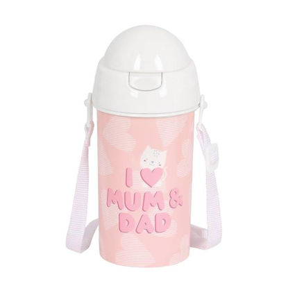 saft342355899-botella-500ml-c-pajit