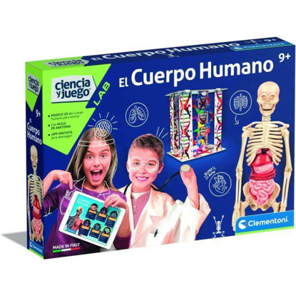 clem550890-juego-educativo-el-cuerp