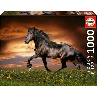 educ19555-puzzle-1000pz-caballo-al-