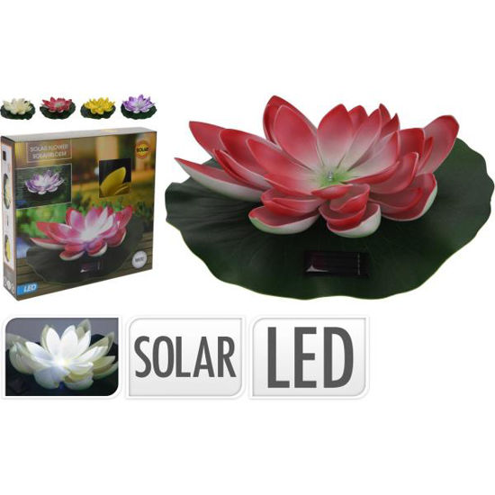 koopdt2100320-flor-loto-luz-solar-2