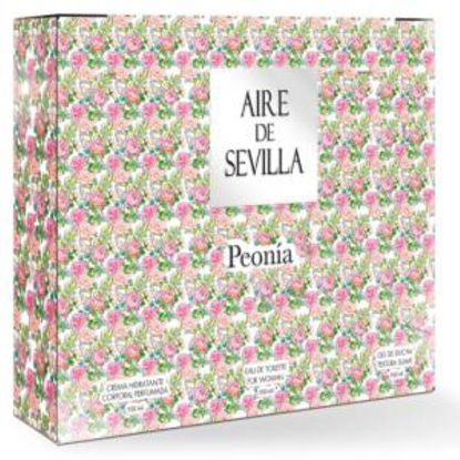 inst13623-estuche-aire-de-sevilla-p