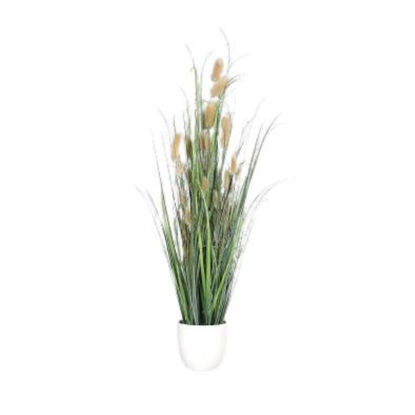 dpig572091-plantaen-maceta-71cm-mar