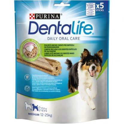 vete12452707-alimento-perros-dental