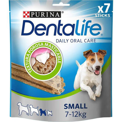 vete12452492-dentalife-cuidado-buca